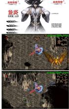 �����¿����Ŵ���