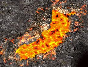 ����ĵ�ְҵ����sf