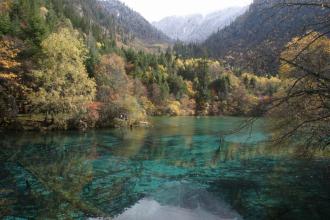 1.85复古传奇金币版