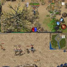 ��Ѫ����1.76��ͻ���