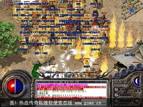 ��̬��������