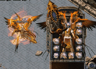 ����սʿ�Զ����