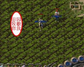 传奇装备固定元素