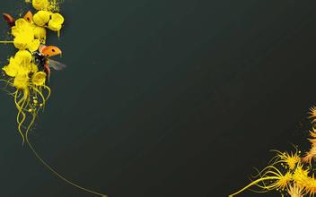 ��ʧ������ѹһ�